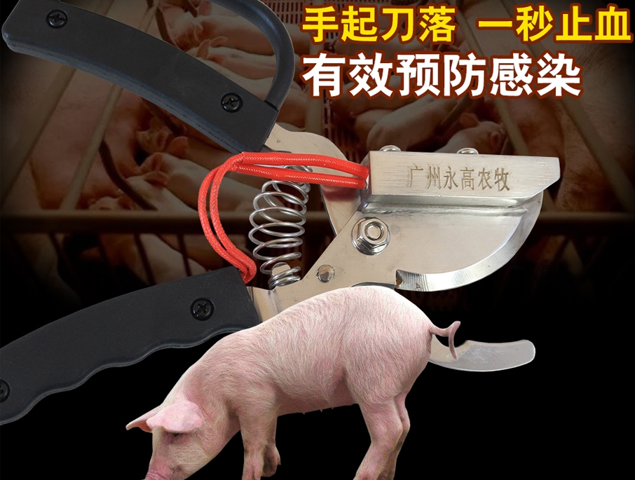牧斯德仔豬斷尾鉗，電熱斷尾鉗，牧斯德獸用器械