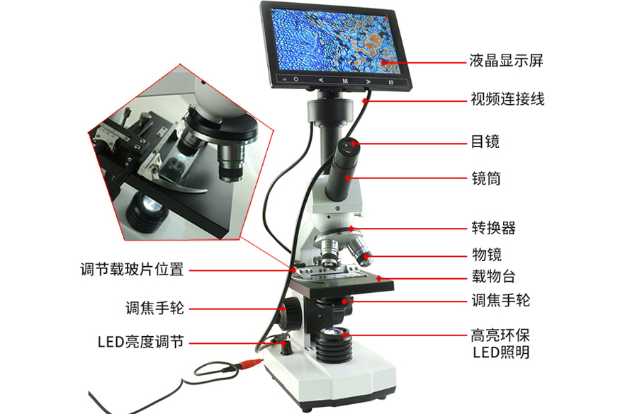 牧斯德視頻顯微鏡的構(gòu)造