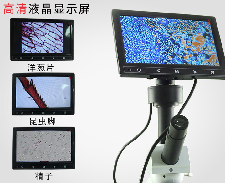 牧斯德視頻顯微鏡