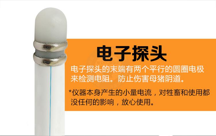 母豬發(fā)情檢測(cè)儀的使用