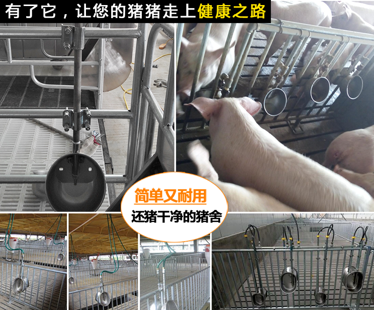 豬用飲水碗