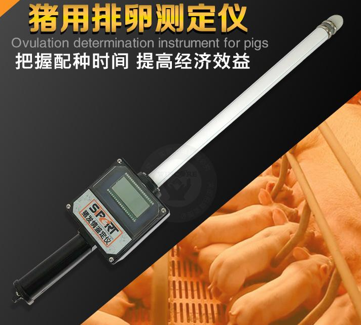 母豬發(fā)情檢測(cè)儀