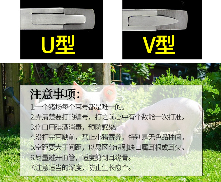 耳缺鉗的使用方法
