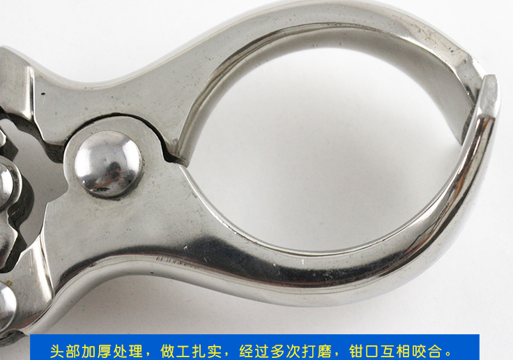 去勢鉗
