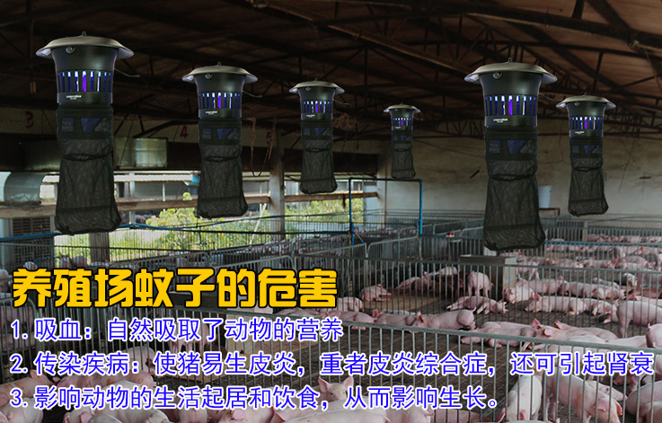 養(yǎng)殖場滅蚊燈