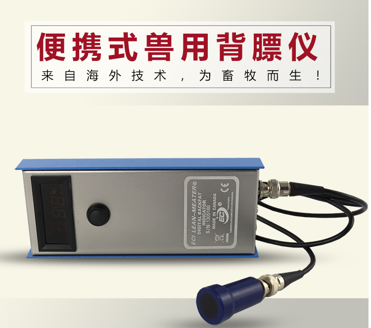 母豬背膘儀