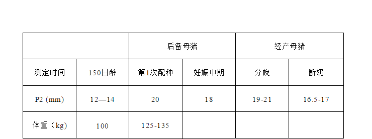 母豬各階段的背膘指數(shù)
