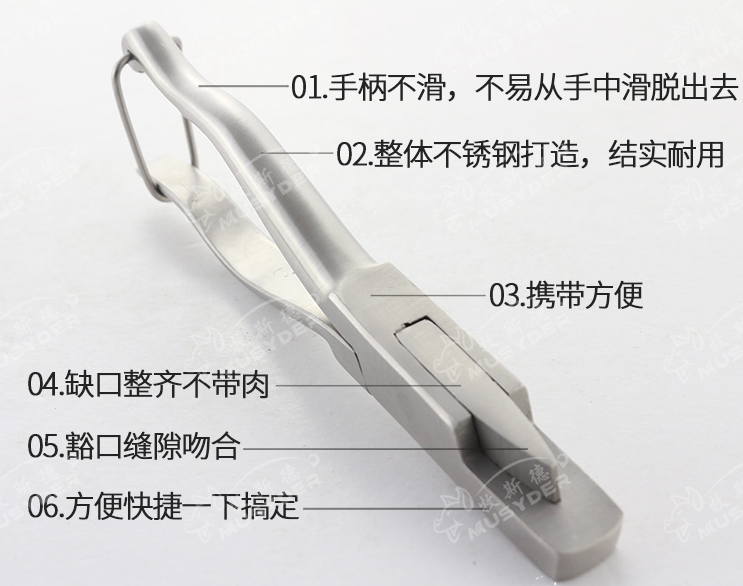 耳缺鉗