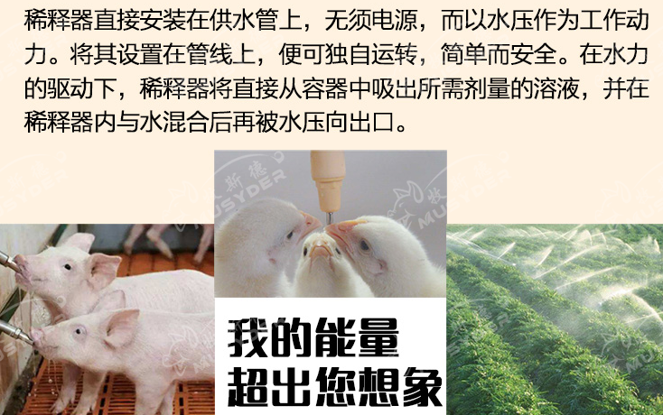 進(jìn)口加藥器