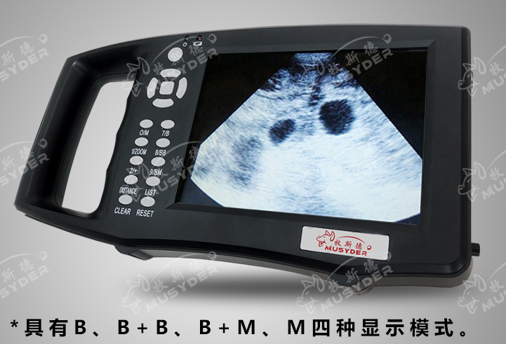 獸用B超
